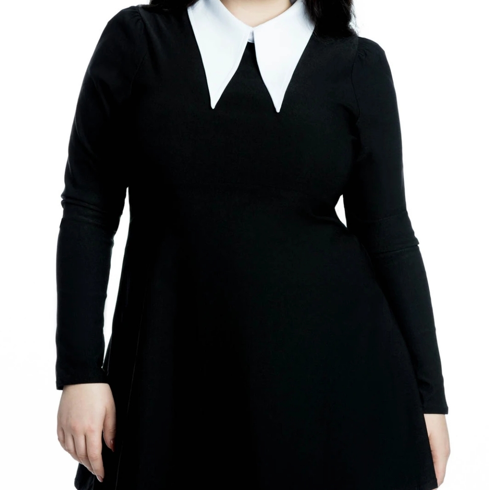 NWT Cathedral Skater Dress